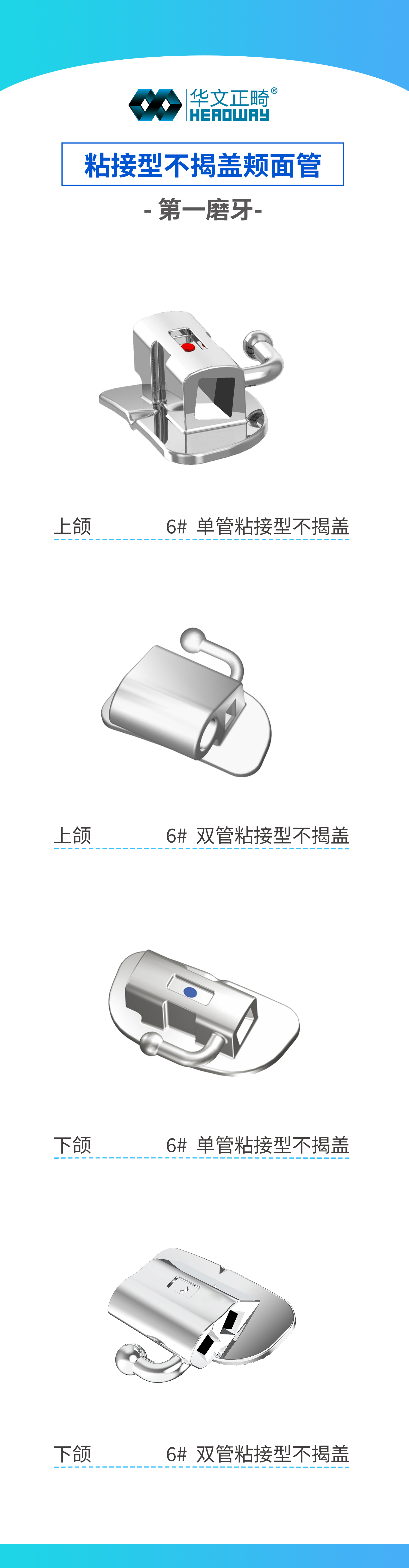 粘接型不揭盖颊面管-第一磨牙