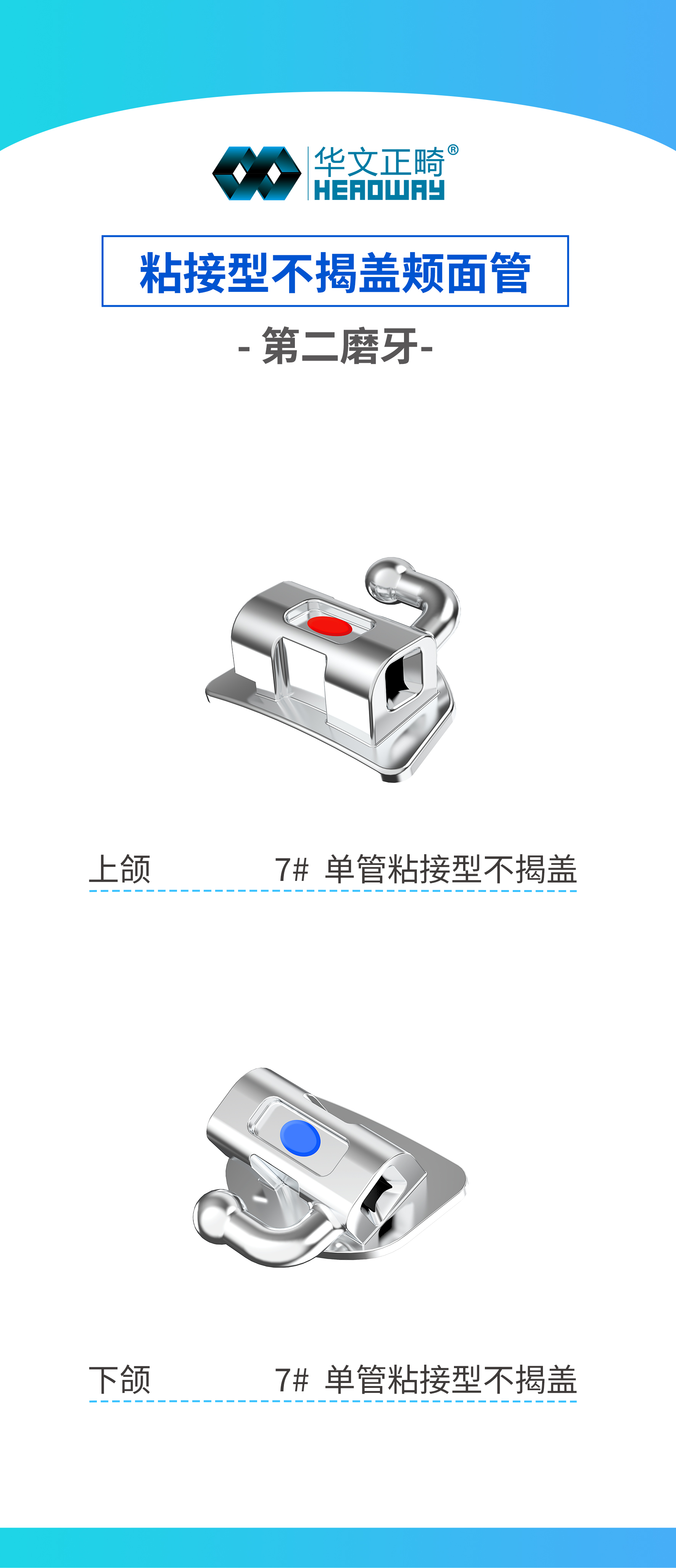 粘接型不揭盖颊面管-第二磨牙